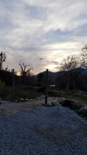 Sequoia Riverfront Cabins