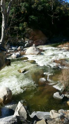 Sequoia Riverfront Cabins