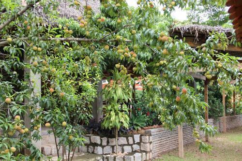 Bed & Breakfast Chezsoa