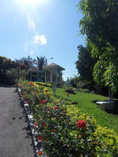 Hotel Relax Resort