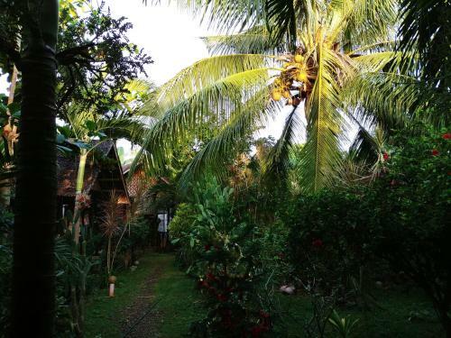 Posada Reggae Guesthouse