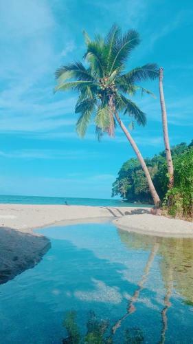 Hostal Summer Place