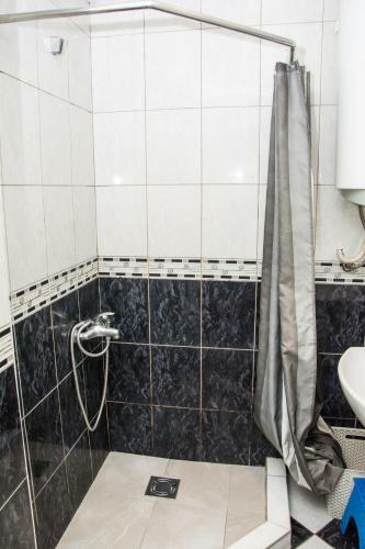 Apartment Hedonist