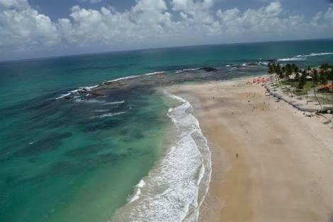 Apartamento Palm Village - O Melhor De Cupe E Porto