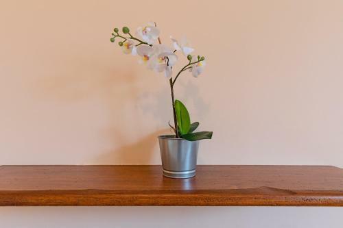 Apartamento La Vicina