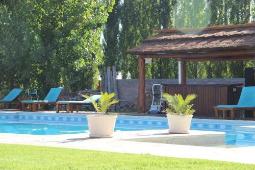 Lodge Caba�as Amalar