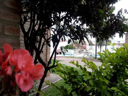 Lodge Caba�as La Aldea