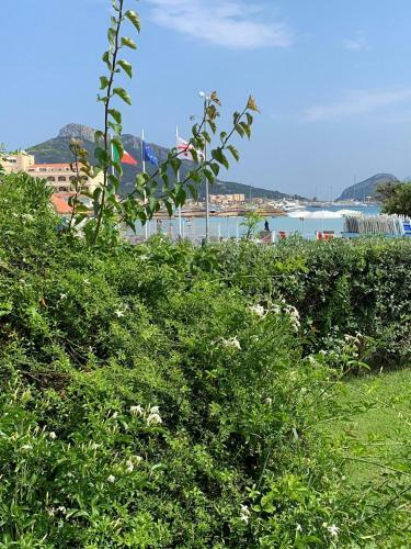 Terza Spiaggia & La Filasca - Apartments