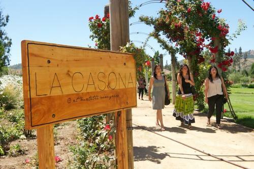 Agroturismo La Casona At Matetic Vineyards