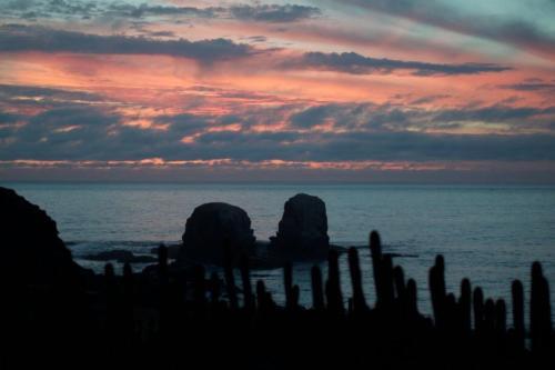 Casa En Punta De Lobos