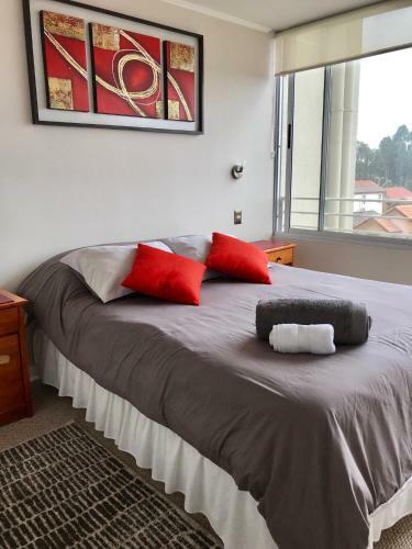 Costa Parque Apartment