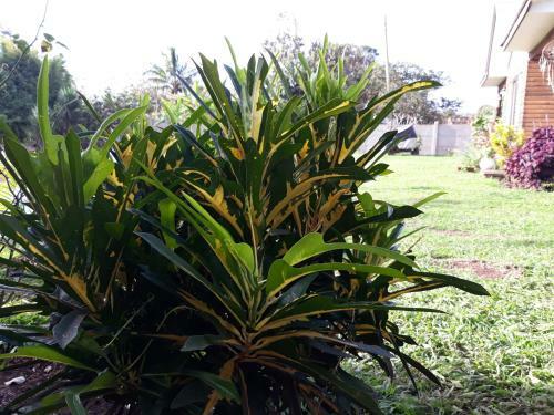 Apartamento Caba�as Arapiki