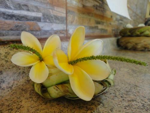 Lodge Caba�as Akiko
