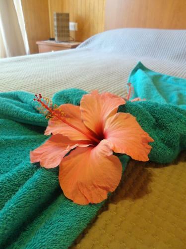 Lodge Caba�as Akiko