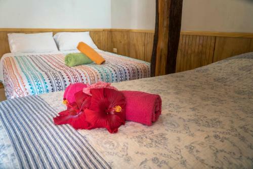 Hostal Caba�as Vaimihi