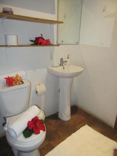 Lodge Villa Hua�ai (tera�ai)