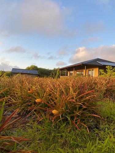 Maunga Roa Eco Lodge