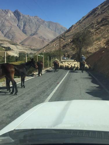 Agroturismo Caba�as Luna De Cuarzo, Cochiguaz
