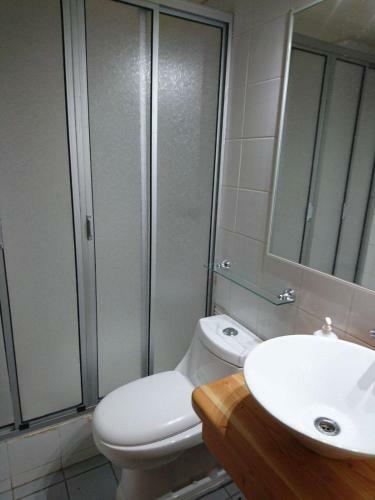 Apartamento Departamento Centro Puc�n