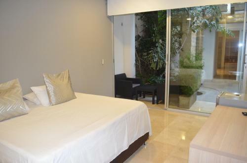 Hotel Casa Alpha