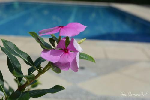 Hotel Amazonas Real
