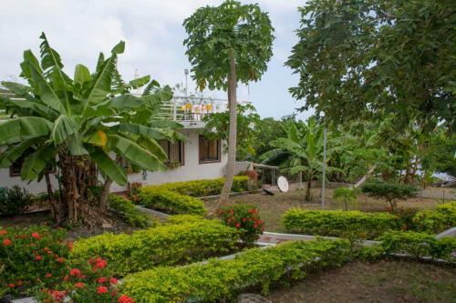 Posada Yolimario