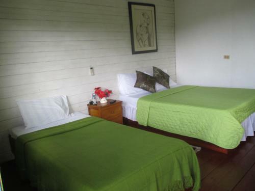Hostal Hotel Flemming Tree