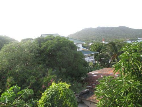 Hostal Hotel Flemming Tree