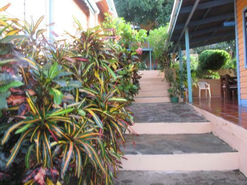 Hostal Hotel Flemming Tree