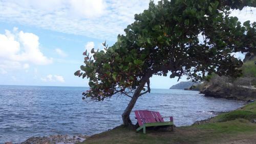 Posada Ocean View