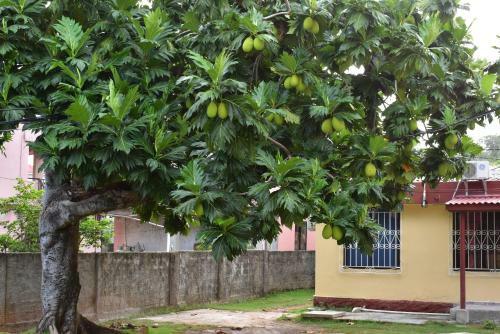 Apartamento Posada James