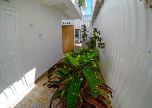Posada Gladys Place