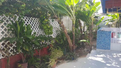 Posada San Giovis Rincon