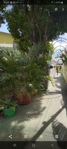 Posada Nilvis Place
