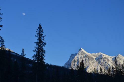 Yoho Chalets