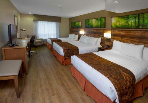 Hotel Best Western Plus Valemount Inn & Suites