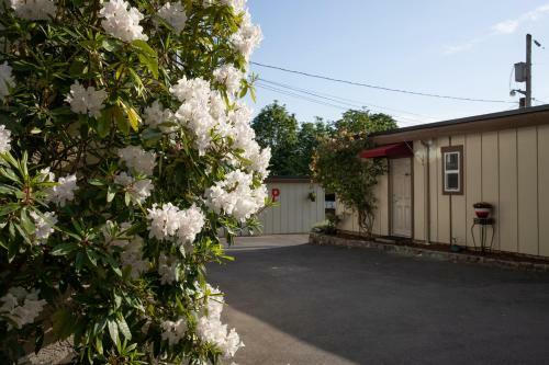Motel Cherry Tree Inn