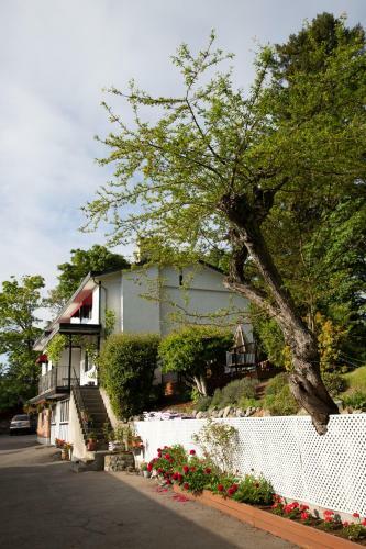 Motel Cherry Tree Inn