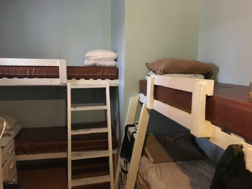 Turtle Hostel