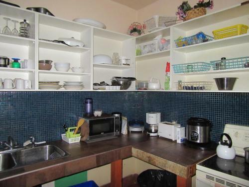 Turtle Hostel