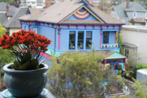 James Bay Inn Hotel, Suites & Cottage