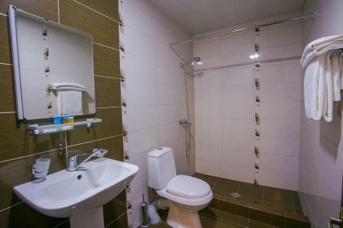 Hotel Ani Central Inn