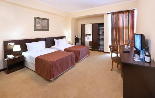 Hotel Ani Central Inn