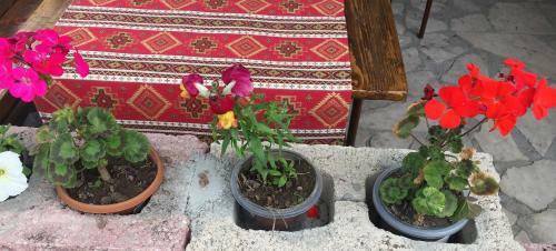 Three Jugs B&B
