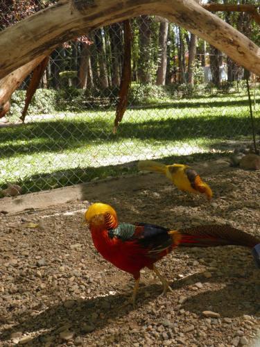 Lodge Caba�as Ranquil Luncay