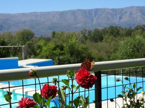 Apartamento Balc�n De Nono