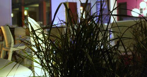 Mi Espacio Sur Hotel Boutique