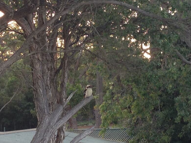 Huskisson Beach Bed And Breakfast