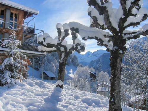 Apartment Breithorn-residence.3