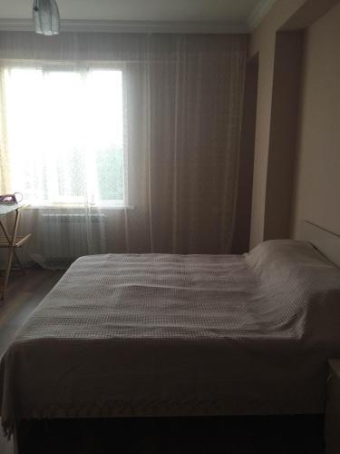 Apartment On Rustaveli 121